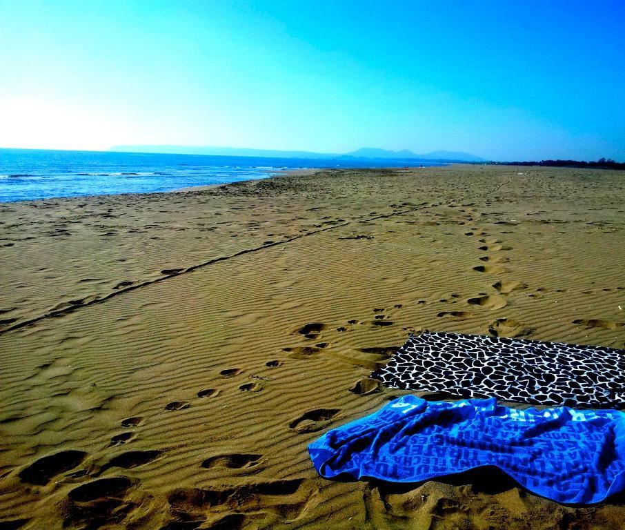 Apartaments Can Gibert Castello  D'Empuries Buitenkant foto