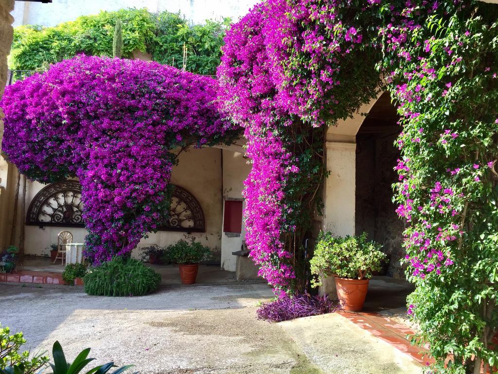 Apartaments Can Gibert Castello  D'Empuries Buitenkant foto